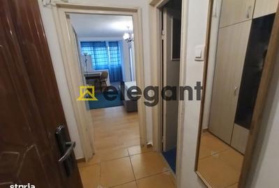 Garsonieră semidecomandată, mobilată în Brazda lui Novac