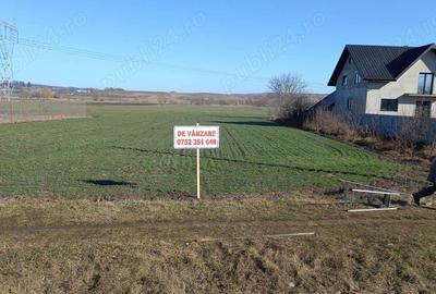 Teren de 12000 mp, în Vadu Moldovei - 2