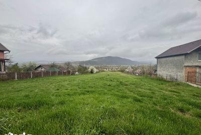 Teren de 2915 mp, în Vețel - 2