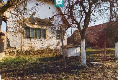 Casă cu 2 camere cu Teren 2334 Mp în Tauț - 6