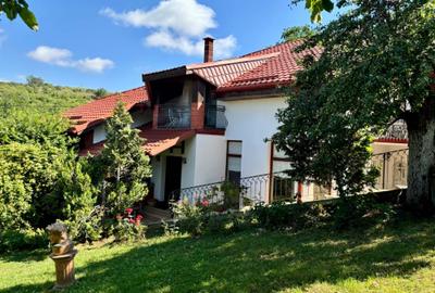 Teren de 5000 mp, în Ghioroc - 3