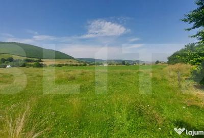 Casă cu 9 camere cu Teren 36000 Mp în Zagon - 9