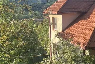 Casă cu 5 camere în Central