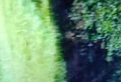 Teren de 10000 mp, în Vulpeni - 1