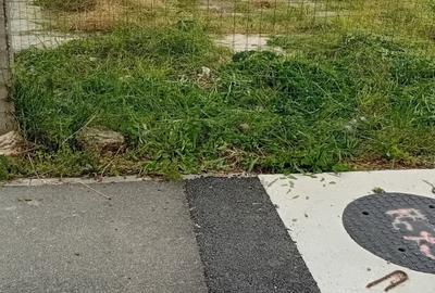 Teren Construcții intravilan de 834 mp, în Tânganu