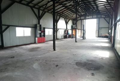 Spațiu comercial, de 500 mp, în Săbăoani - 1