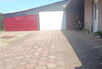 Casă cu 2 camere cu Teren 1080 Mp în Șofronea - 5