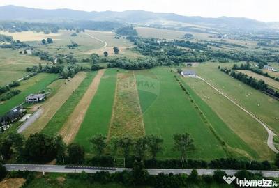 Teren în Nemțișor