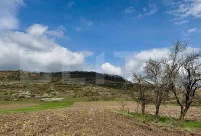 Teren Construcții intravilan de 1500 mp, în Nord-Est
