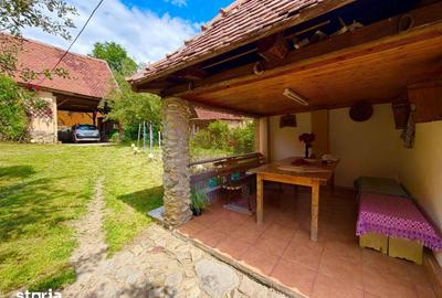 Casă cu 3 camere cu Teren 2974 Mp în Central - 1
