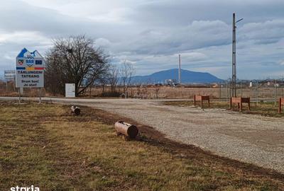 Teren de 9000 mp, în Est - 2