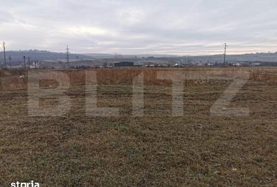 Teren de 5900 mp, în Pătrăuți - 3