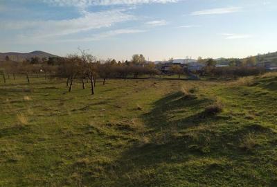 Teren Construcții intravilan de 2490 mp, în Voila - 4