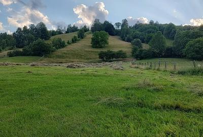 Teren de 6804 mp, în Șimon - 5