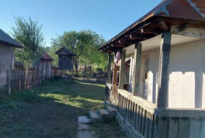 Casă cu 2 camere cu Teren 3819 Mp în Ionești