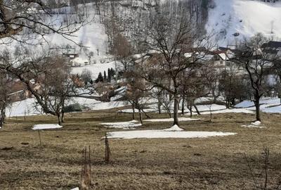 Teren de 2100 mp, în Moieciu - 2