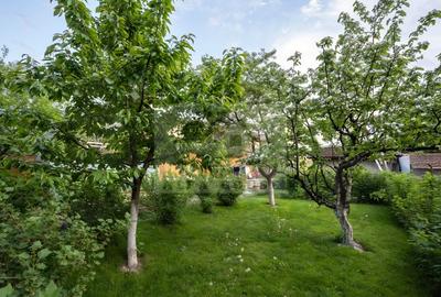 Casă individuală cu 5 camere cu Canalizare în Cernatu - 5