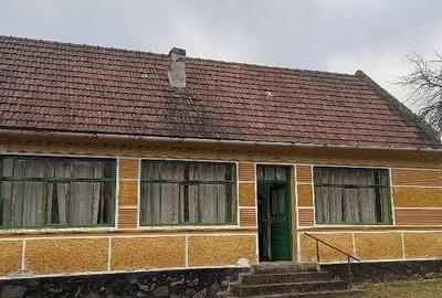 Casă cu Teren 6400 Mp în Petriș - 2