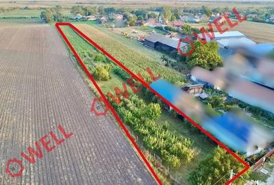 Teren agricol intravilan de 4590 mp, în Lunga - 2
