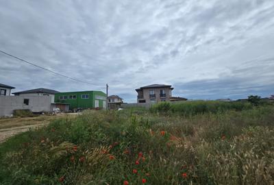Teren de 5000 mp, în Lazu - 7