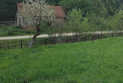 Teren de 1727 mp, în Stănija - 1