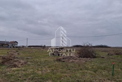 Teren Construcții intravilan de 500 mp, în Mândruloc - 1