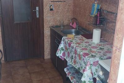 Apartament cu 2 camere semidecomandat, mobilat în Dacia - 14
