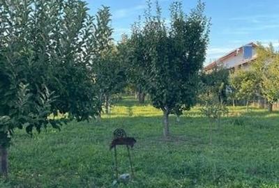 Teren de 3700 mp, în Păulești