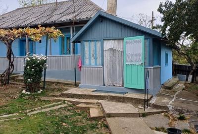 Casă cu 3 camere în Leorda - 4