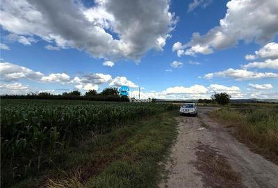 Teren agricol intravilan de 19800 mp, în Est - 3