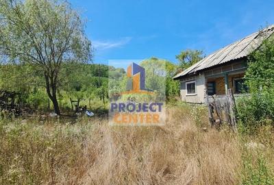 Casă cu 3 camere cu Teren 4525 Mp în Băbana - 5