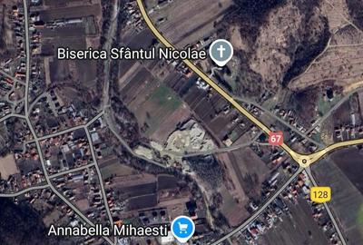 Casă cu Teren 1650 Mp în Mihăești - 5