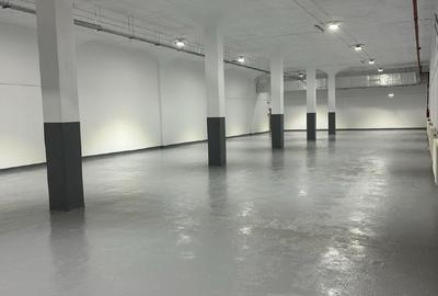 Spațiu industrial, de 450 mp, în Păcii