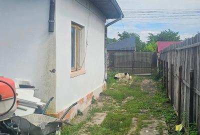 Casă cu Teren 429 Mp în Calea Doftanei - 5