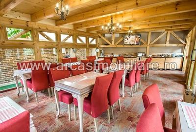 Hotel/Pensiune, de 20 mp, în Ultracentral - 2