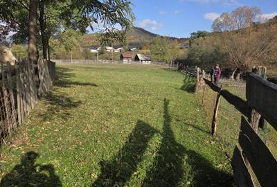 Teren de 2000 mp, în Stulpicani