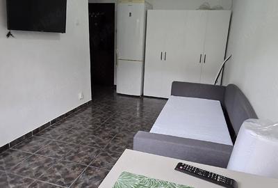 Garsonieră decomandată în Sud - 7