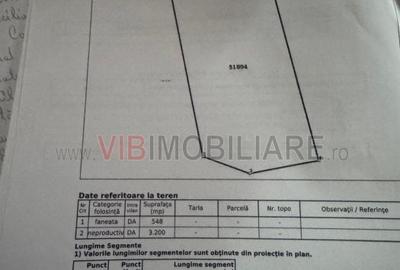 Teren intravilan de 10000 mp, în Ceahlău - 9