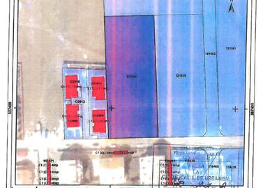 Teren Construcții intravilan de 4000 mp, în Central - 3