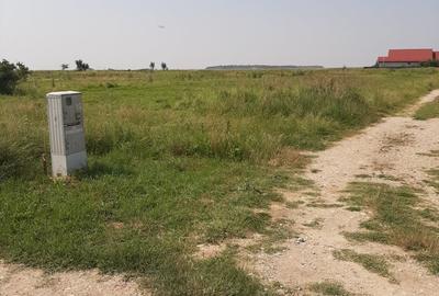 Teren Construcții intravilan de 585 mp, în Domnești - 11