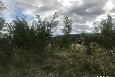 Teren de 2200 mp, în Central