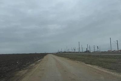 Teren de 5000 mp, în Remetea Mare - 3