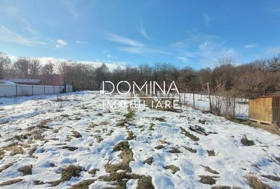 Casă individuală cu 5 camere cu Teren 2333 Mp în Arcani - 5