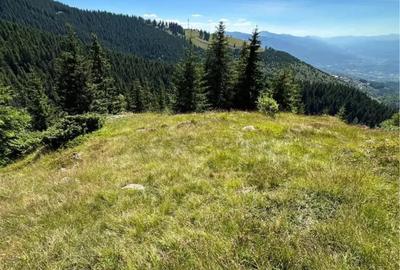 Teren de 15000 mp, în Petros