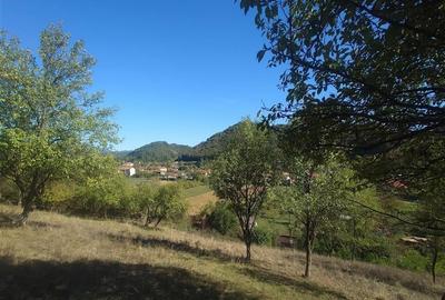 Teren Construcții extravilan de 14075 mp, în Crișcior - 1