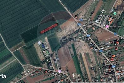 Teren de 1858 mp, în Ciolpani - 4