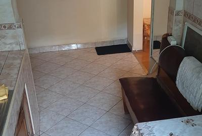 Apartament cu 2 camere decomandat în Sebastian - 8