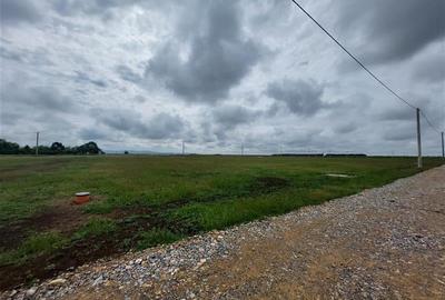 Teren Construcții intravilan de 1000 mp, în Zimandcuz - 5