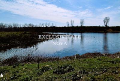 Teren de 5000 mp, în Găneasa - 3