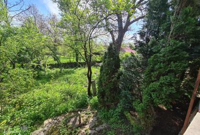 Casă individuală cu 5 camere cu Canalizare în Podul Vadului - 10